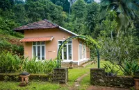 After the Rains - Rainforest Lodge - 3-Star