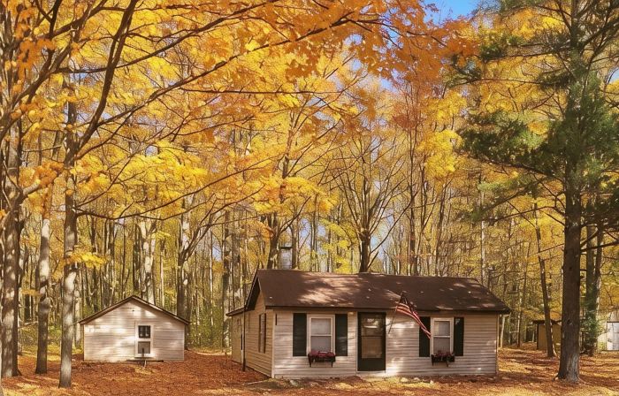 Cozy Cabin, Private 10 Acres Close to Atv Trail & Lake