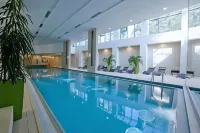 Abacus Business & Wellness Hotel - Kolam Renang