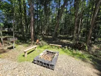 Pine Twist Cabin - Homestays