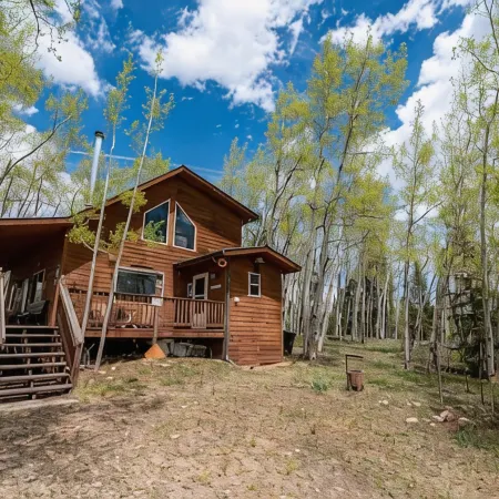 Beautiful, Cozy and Quiet Home Nestled in an Aspen Grove