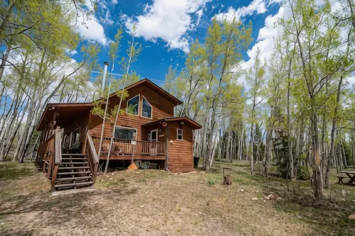 Beautiful, Cozy and Quiet Home Nestled in an Aspen Grove - Hytter