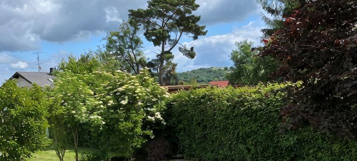 Vacation home in Wehr Eifel, near Laacher See and Nürburgring with large garden Ξενοδοχεία στην πόλη Ahrweiler