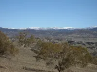 Bush Grove on the snowy river - واي فاي
