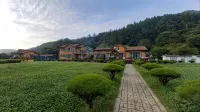 Jinan Demisaem Village Pension - Wifi