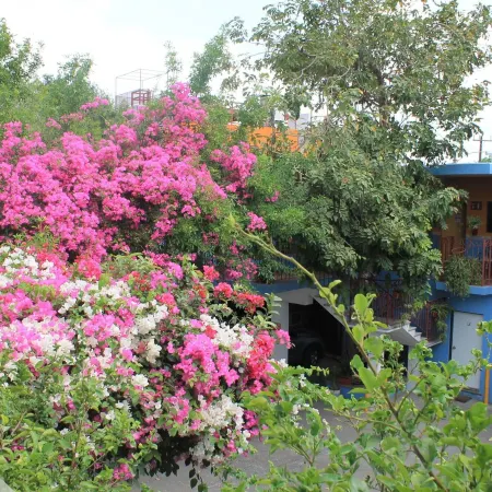Hotel Hacienda del Viejo