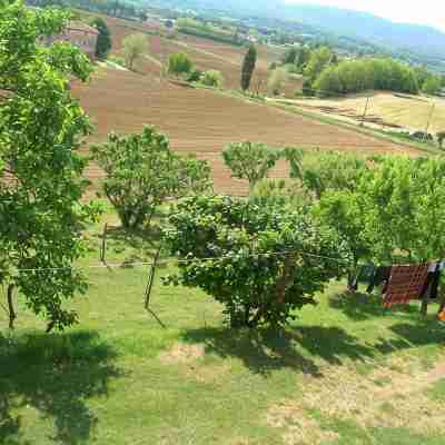Independent house in the hills of the Sienese countryside Hotel Exterior