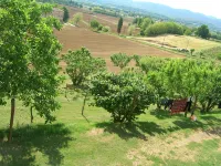 Independent house in the hills of the Sienese countryside - 3-Star