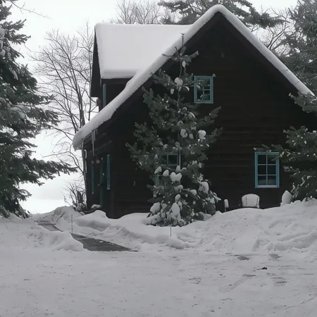 Rustic, Cozy, Northwoods Cabin steps away from Round Lake on Richardson Bay!