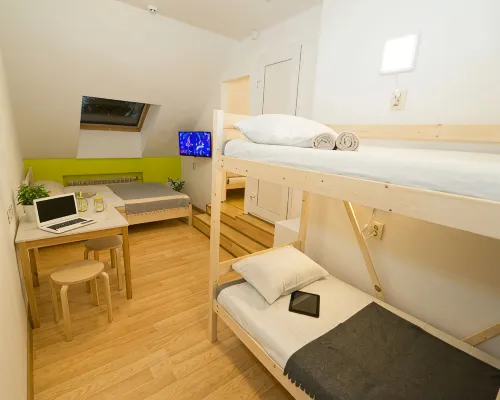 City House Hotel - สัตว์เลี้ยง