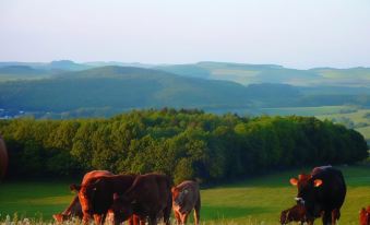 Panorama Gasthof Stemler