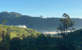 Arte de Plumas Birding Lodge