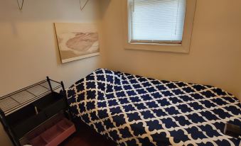 Bedroom Near Downtown Boston - Hostel