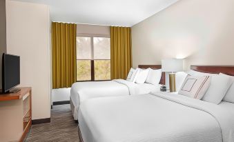 SpringHill Suites Asheville