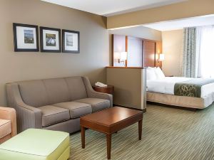 Comfort Suites North Elkhart