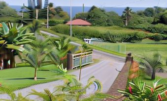 Island Goode's - Luxury Adult Only Accommodation Near Hilo