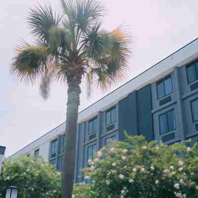 Courtyard by Marriott Gulfport Beachfront Hotel Exterior