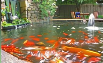 a large pond filled with koi fish , surrounded by trees and rocks , creating a serene outdoor setting at The Old Rectory