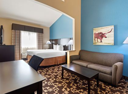 Best Western Plus Arlington North Hotel  Suites