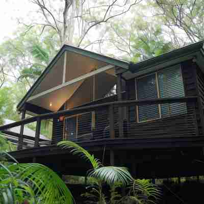 Songbirds Rainforest Retreat Hotel Exterior