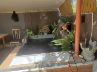 Serenity Oasis Hotels in Hellshire