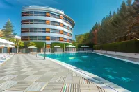 Hotel Abades Nevada Palace - piscina