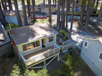 Masood's Lodge