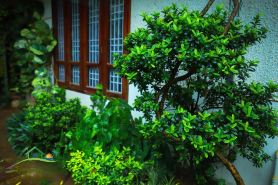 Nutshell-Airport Retreat by the Sea