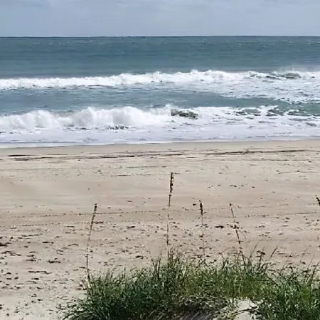 The Emerald Cottage - renovated 1950s beach cottage one block to beach , hot tub