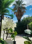 Grand Hôtel de Nîmes 4 étoiles - que admiten mascotas