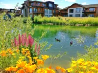 Villa Huapi Hotels in Bariloche