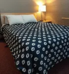 Shoal Lake Motor Inn - Motel