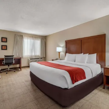 Comfort Inn Denver Southeast Area