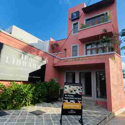 The Tea Library Hikkaduwa Hotel Exterior