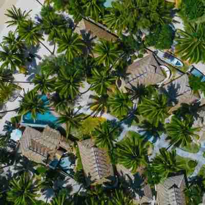 Tamanu Beach Resort Hotel Exterior