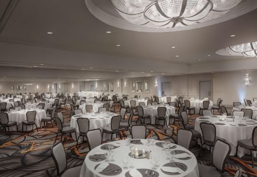 힐튼 시카고/노스브룩의 바/라운지