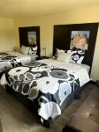 The Suite Inn