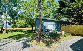 1-bedroom apartment in Mills River, NC-Close to hiking, breweries, dog friendly