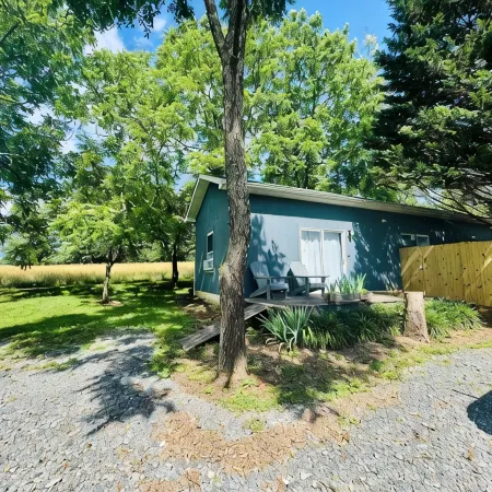 1-bedroom apartment in Mills River, NC-Close to hiking, breweries, dog friendly