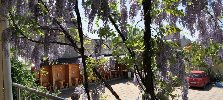 Hotel Grand Uyut Hotels in Krasnodar