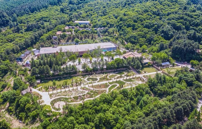 Gapyeong the Stay Healing Park