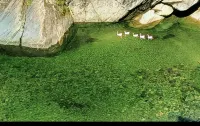 Guanba Tianyi Homestay - สวนน้ำ