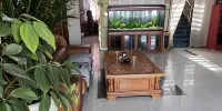 Bolai Business Hotel - Pet friendly