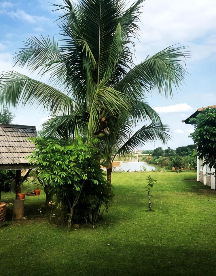 รูปภาพของบ้านริมน้ำ ริเวอร์ไซด์ รีสอร์ท