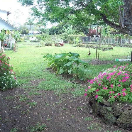 Cabañas Pumakari