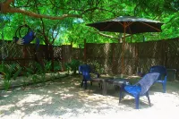 Mango Tree Island 420