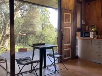 Pine Lodge - luxurious bungalow in nature Hotels in Valongo