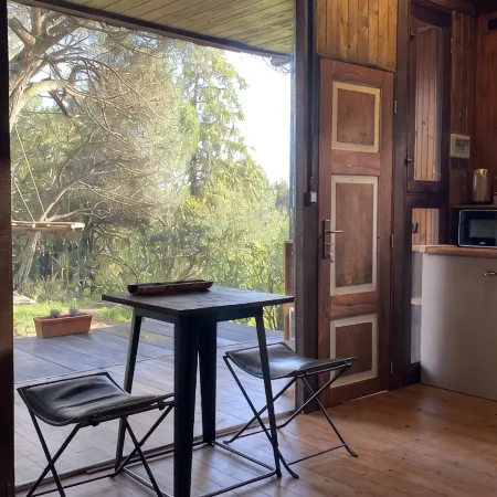 Pine Lodge - luxurious bungalow in nature Отели в г. Валонгу