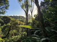 Classic Piha Bach - Seaview Road Hotels in Piha