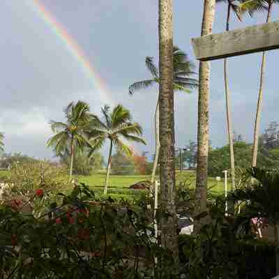 ALOHA - ALOHA AUTHENTIC CONDO- C29, Comfy & Welcoming. Others